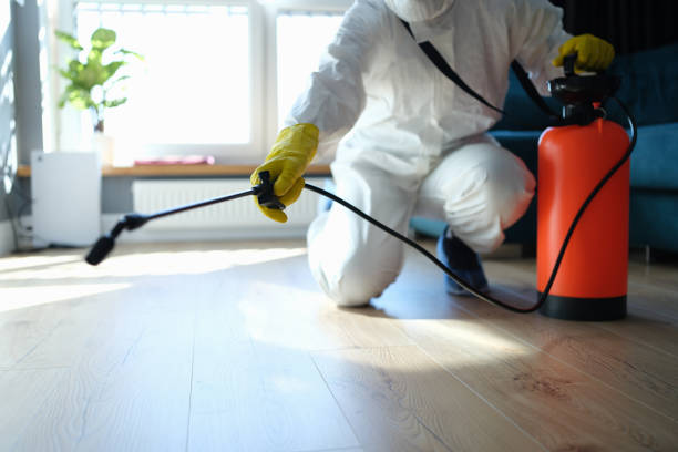 Reliable Biohazard Cleanup contractor in Stockton, IL by Crime Scene Cleaner Online